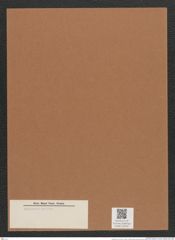 Terebraria sp. (de-Toni-Nr.: Genus 79) Zeichnungen Sammlung Grunow Mappe 03039 (Herbarium_W_Grunow_drawings_Folder_03039)